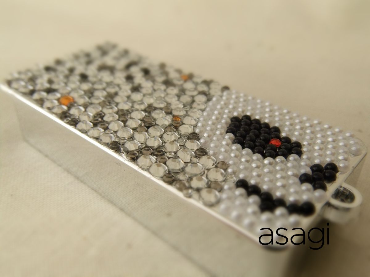 �X�J���ڍ�